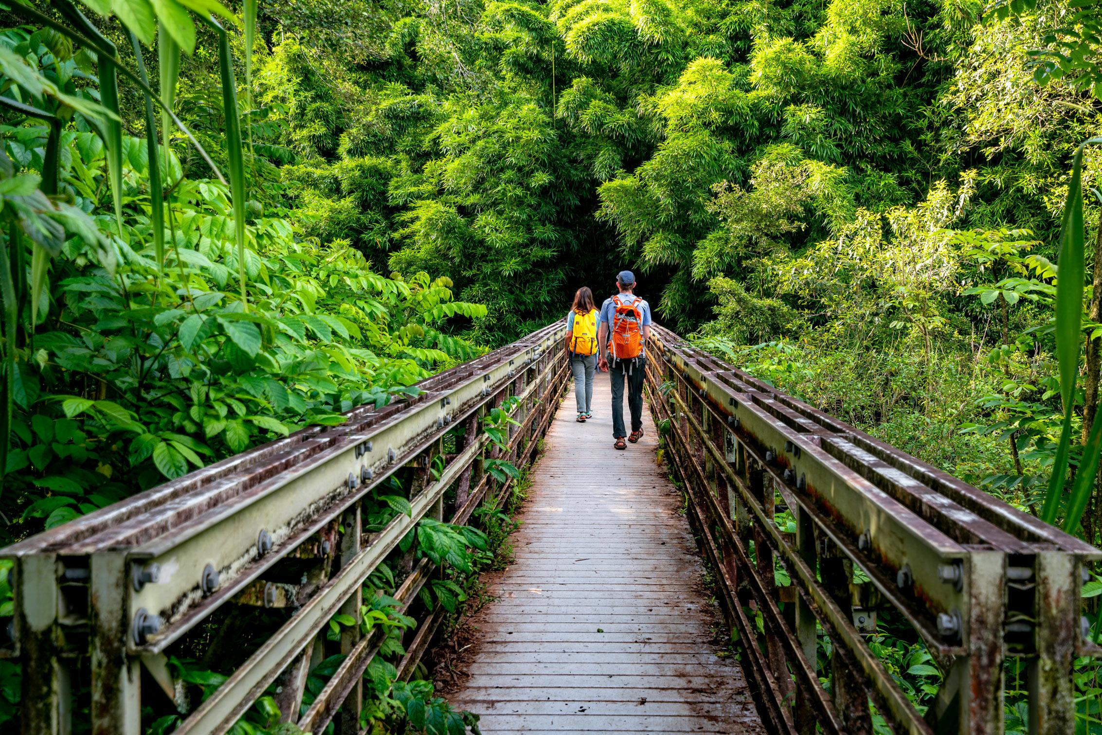🌳 산무노모리 공원 (산부노모리 코엔) 이미지 5